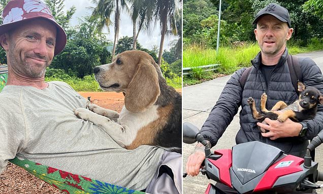 'I used to cook for Bono, now I make dinner for dogs': Ex-chef details how recovering from